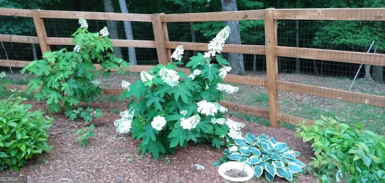 57 Cherry Court Ellijay - Photo 47