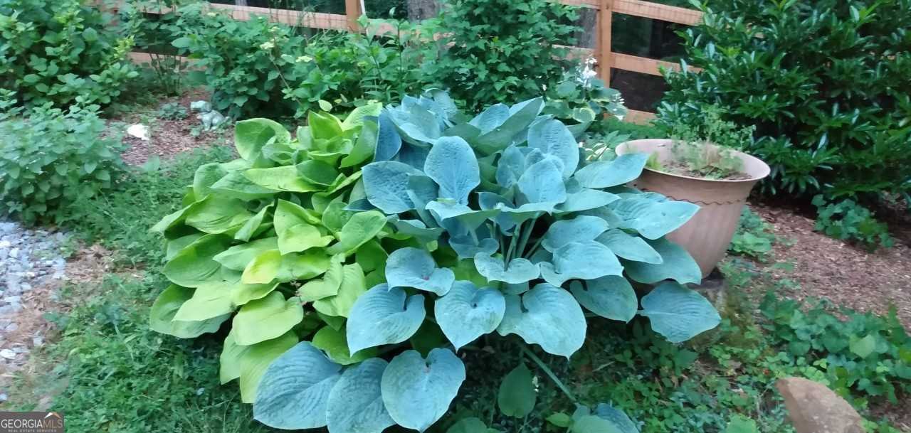 57 Cherry Court Ellijay - Photo 49