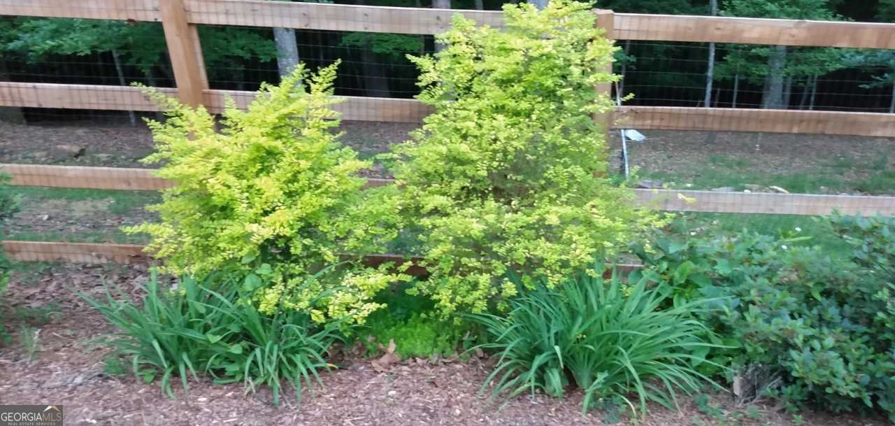 57 Cherry Court Ellijay - Photo 50