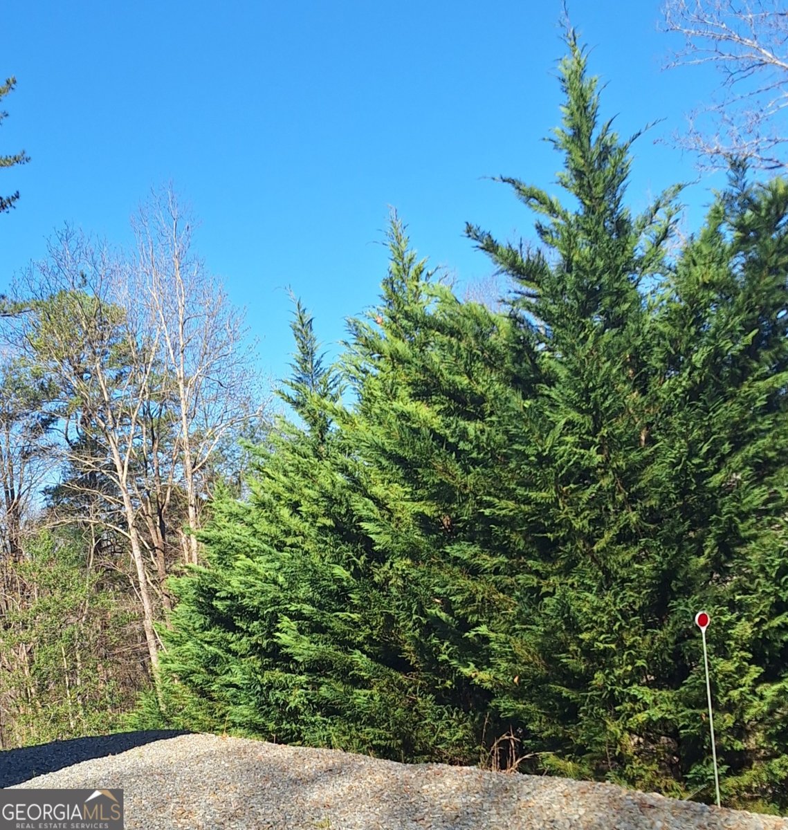 57 Cherry Court Ellijay - Photo 7