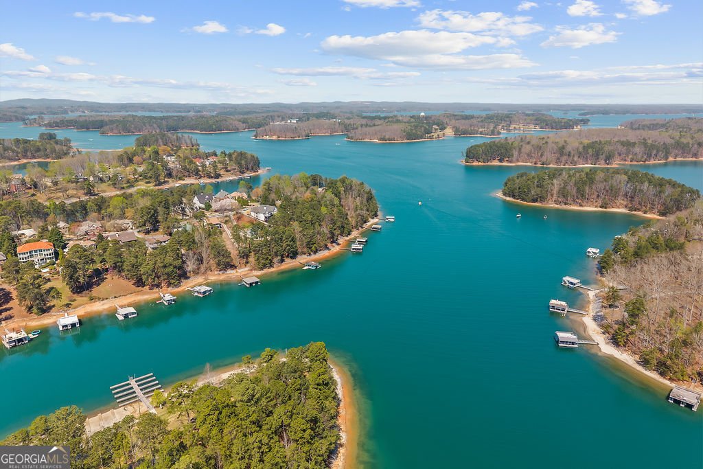 6298 Lanier Harbor Landing Buford - Photo 47