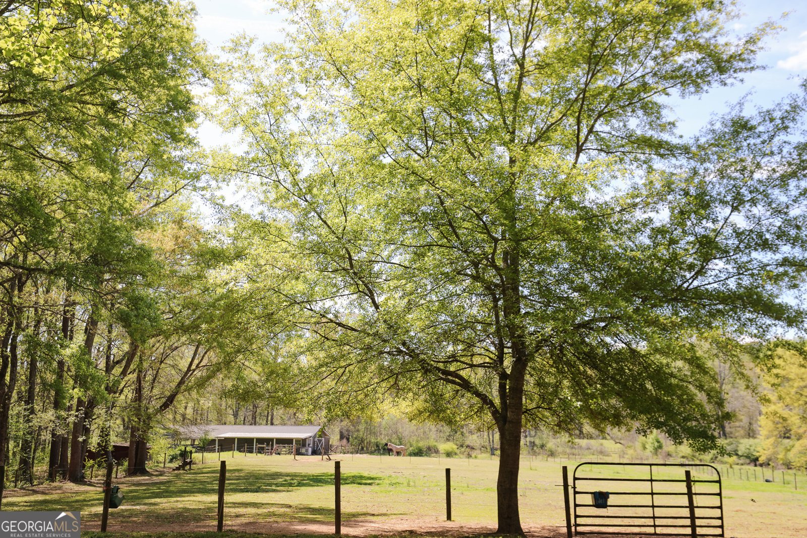 1017 Bruce Jackson Road Newnan - Photo 34