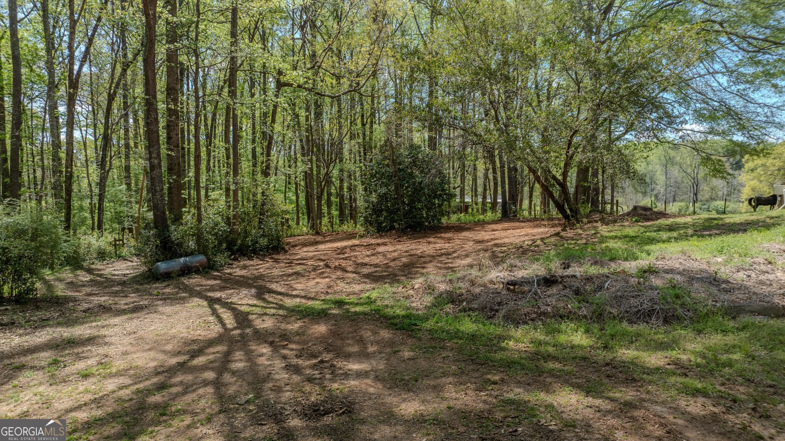 1017 Bruce Jackson Road Newnan - Photo 45