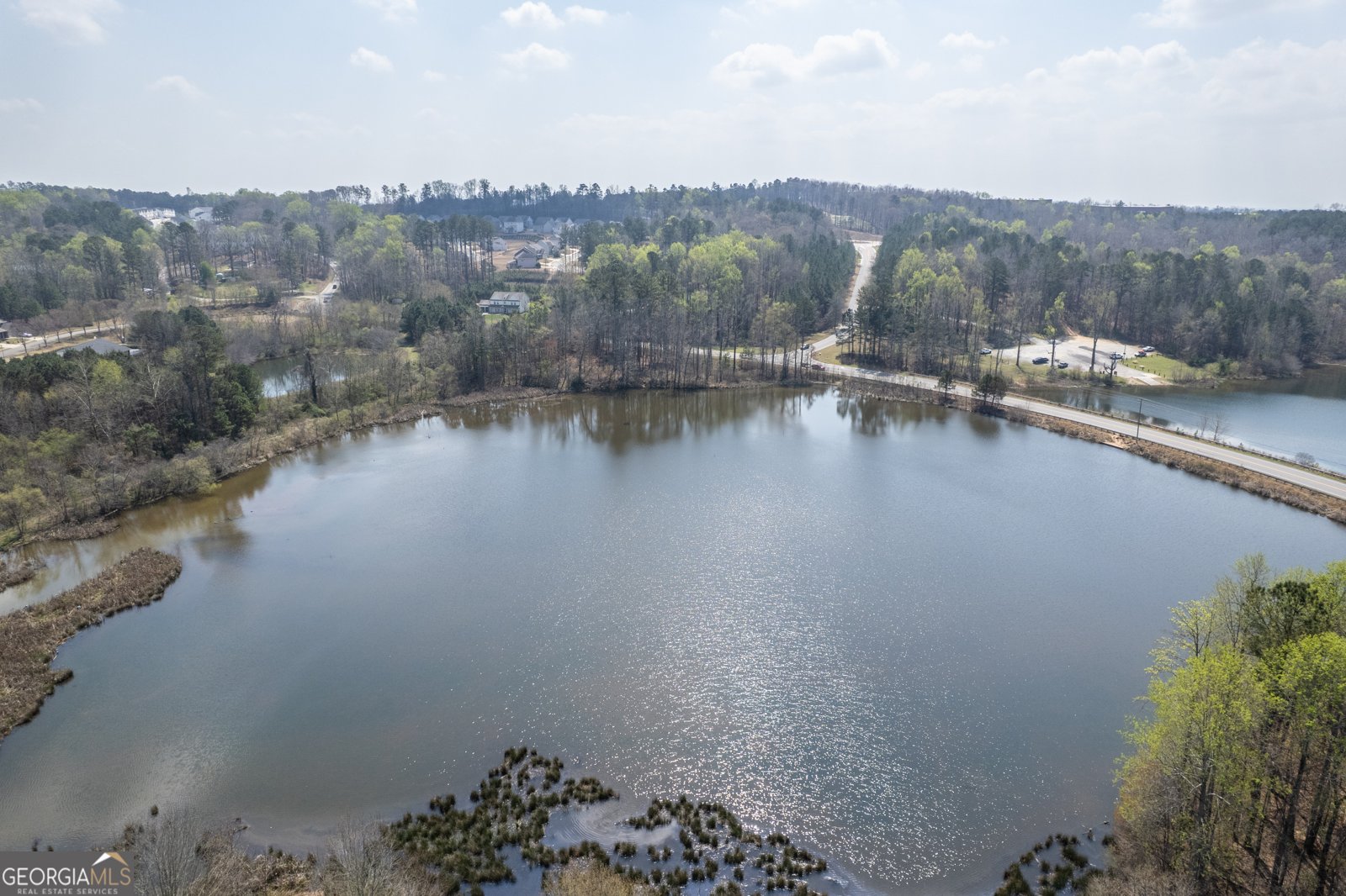 262 Augusta Walk Canton - Photo 34