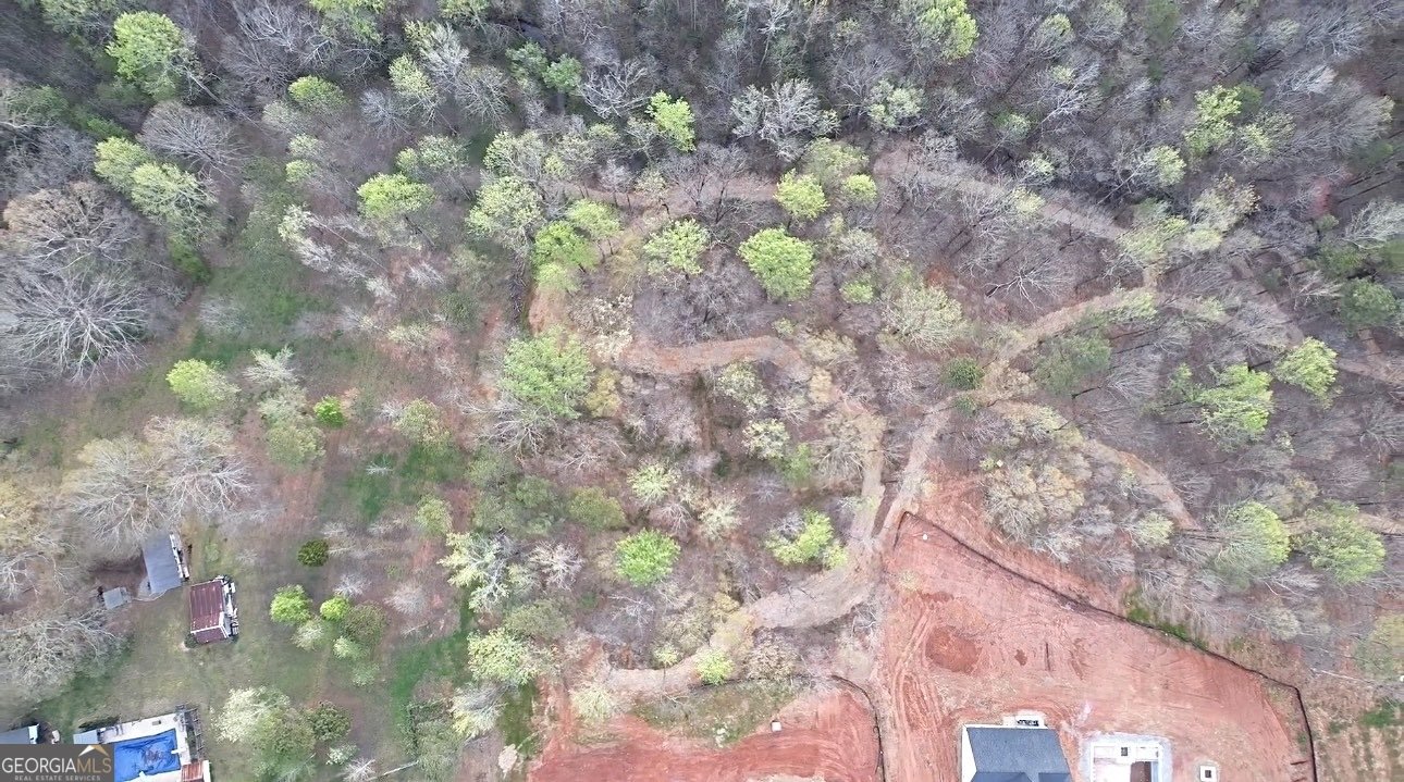 117 Kinney Creek Ln Pendergrass - Photo 15