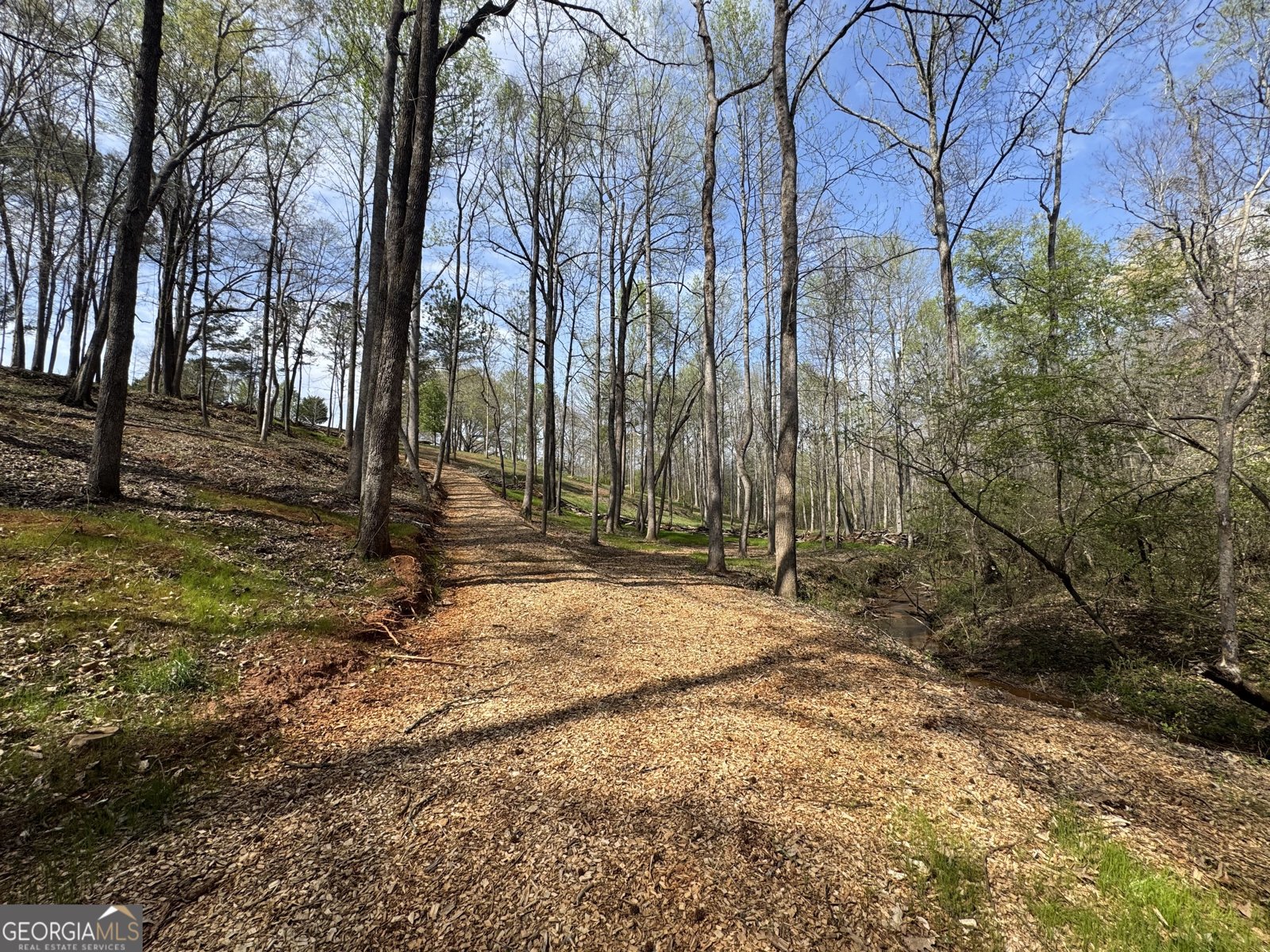 117 Kinney Creek Ln Pendergrass - Photo 17