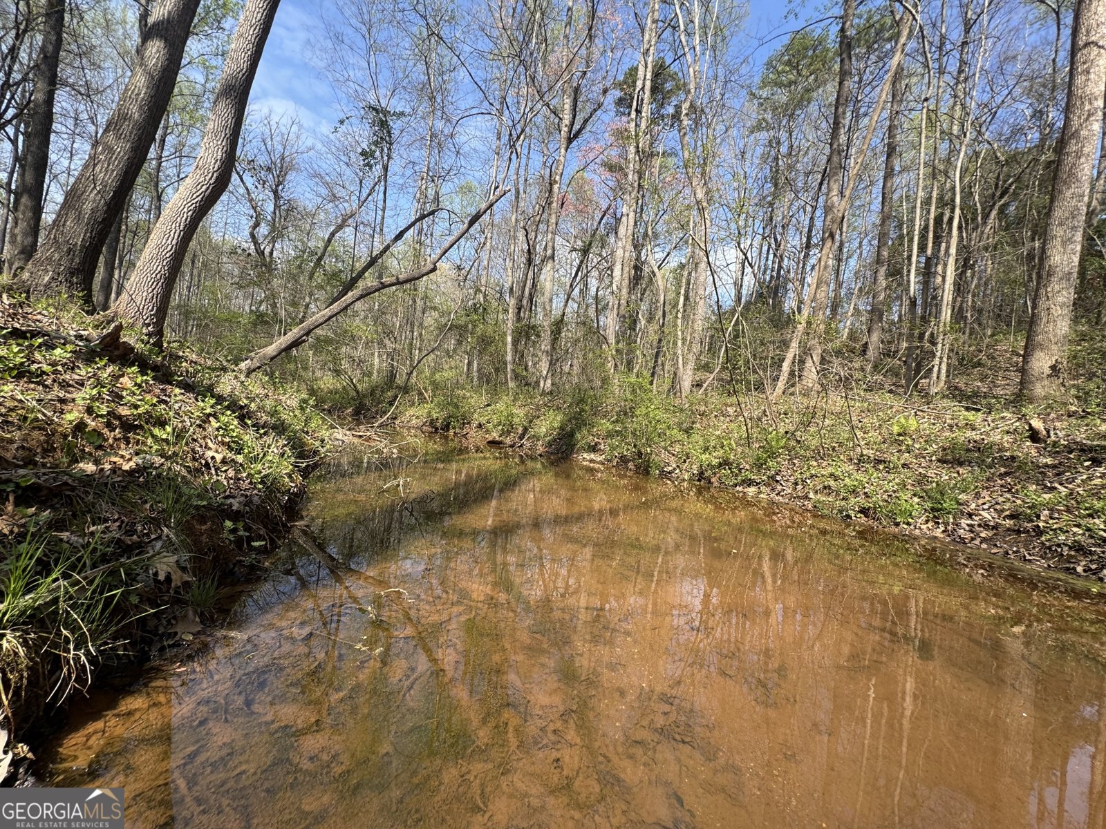 117 Kinney Creek Ln Pendergrass - Photo 18