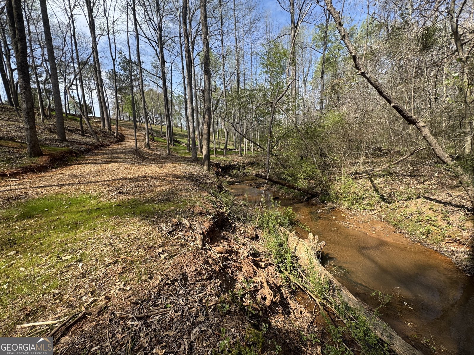 117 Kinney Creek Ln Pendergrass - Photo 19