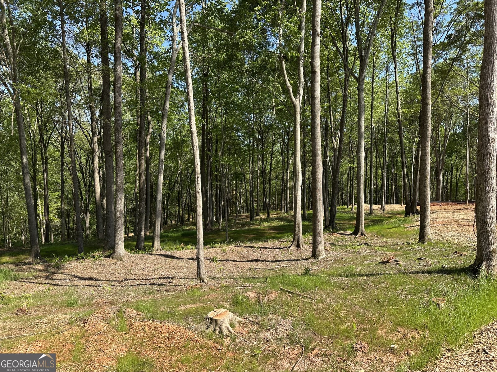 117 Kinney Creek Lane Pendergrass - Photo 51