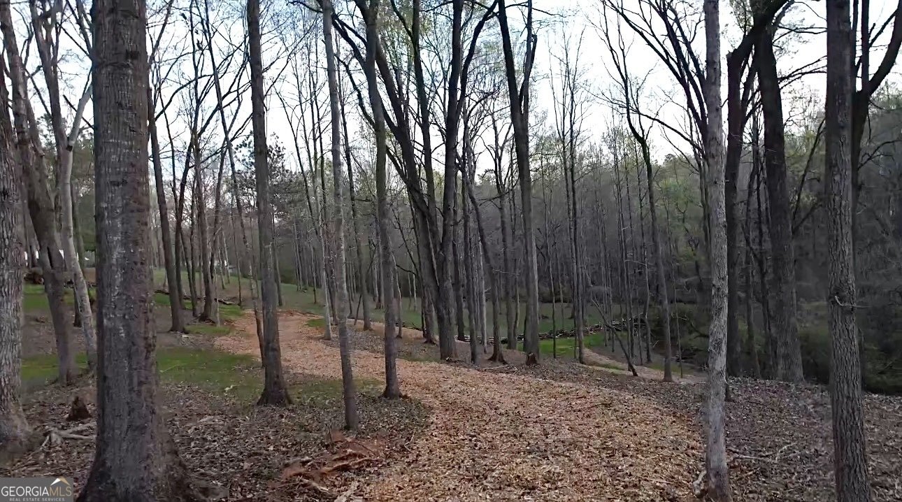 117 Kinney Creek Lane Pendergrass - Photo 52