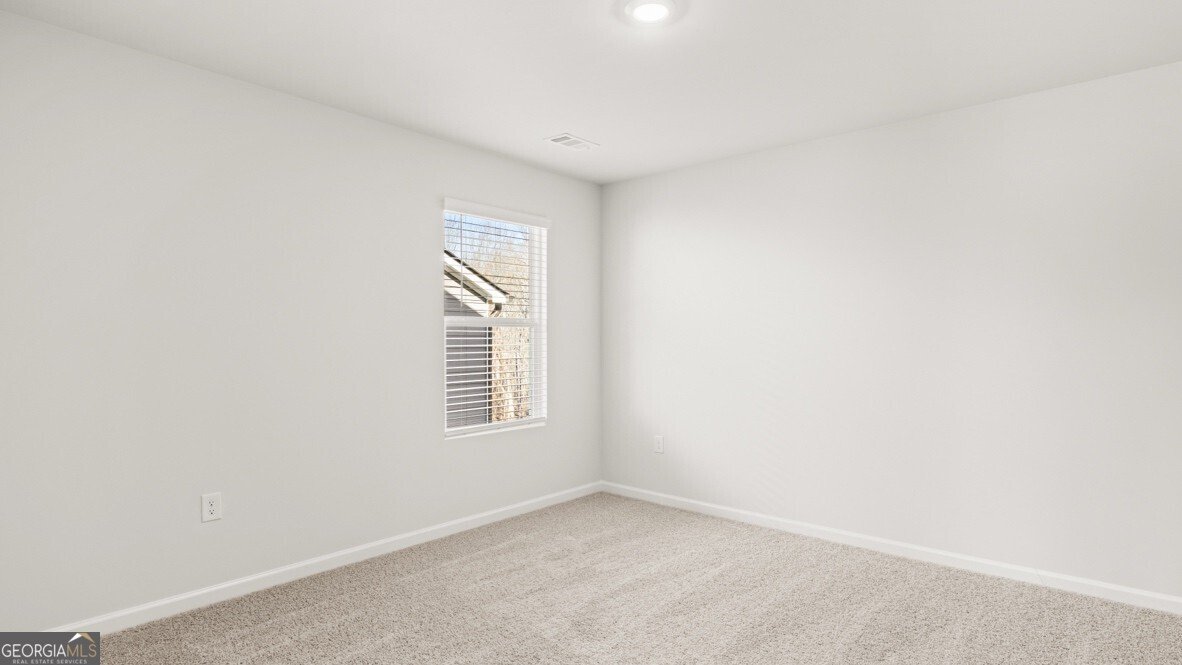 30 Rye Terrace Braselton - Photo 22