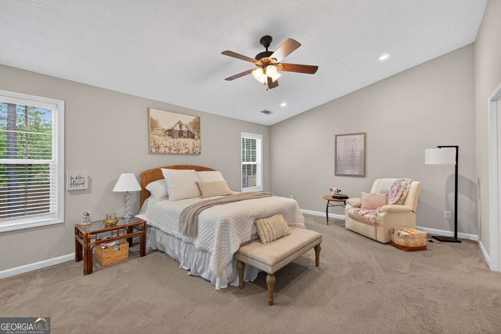 734 Evergreen Drive Winder - Photo 19