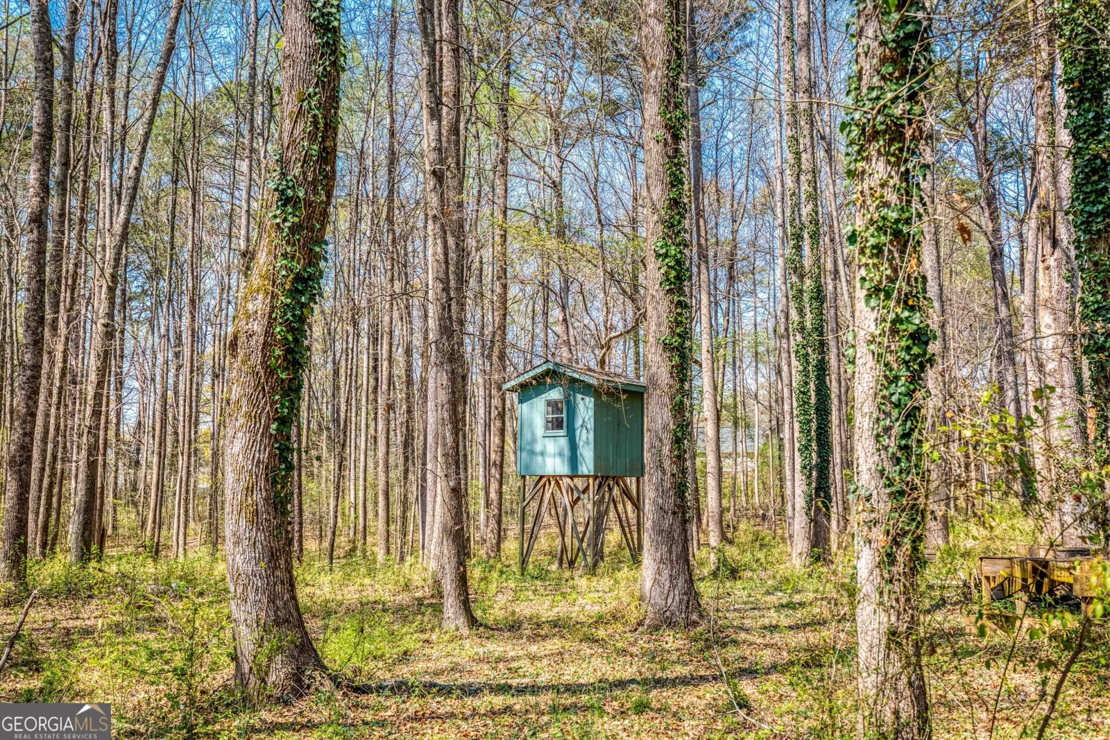 2720 Bay Ridge Drive Loganville - Photo 41