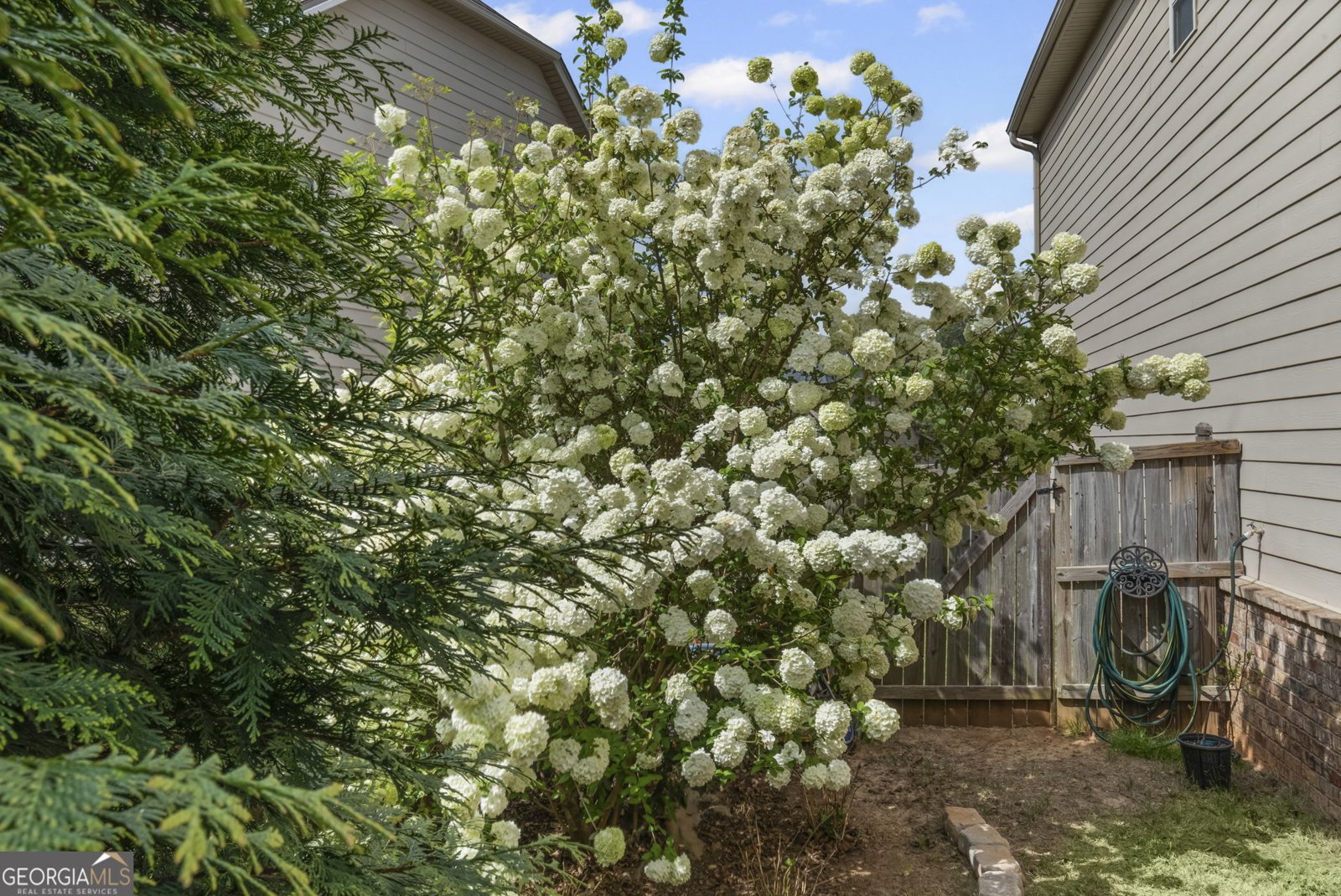 1460 Dahlia Drive Cumming - Photo 63