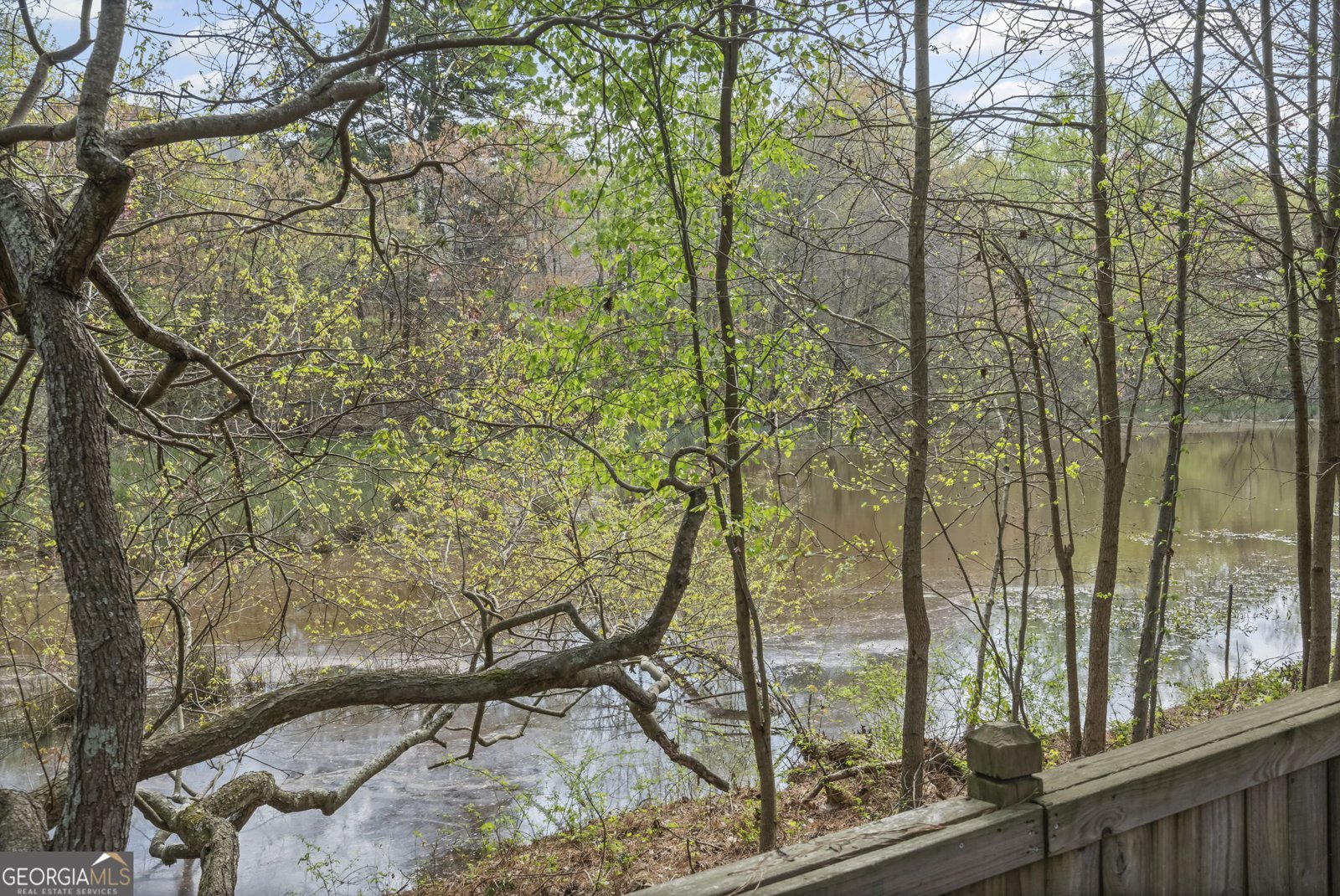 1460 Dahlia Drive Cumming - Photo 64