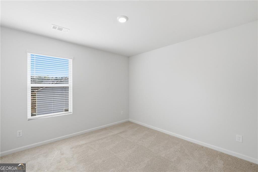 312 Etowah Parkway Dawsonville - Photo 30