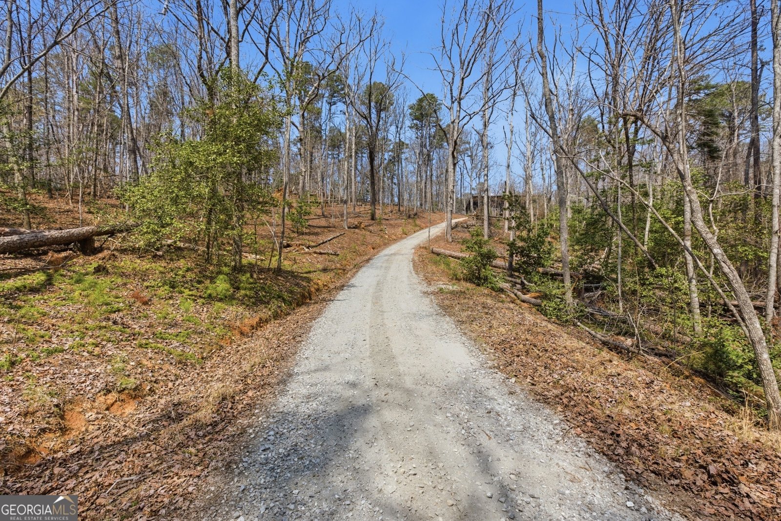 425 Camp Yonah Road Clarkesville - Photo 49
