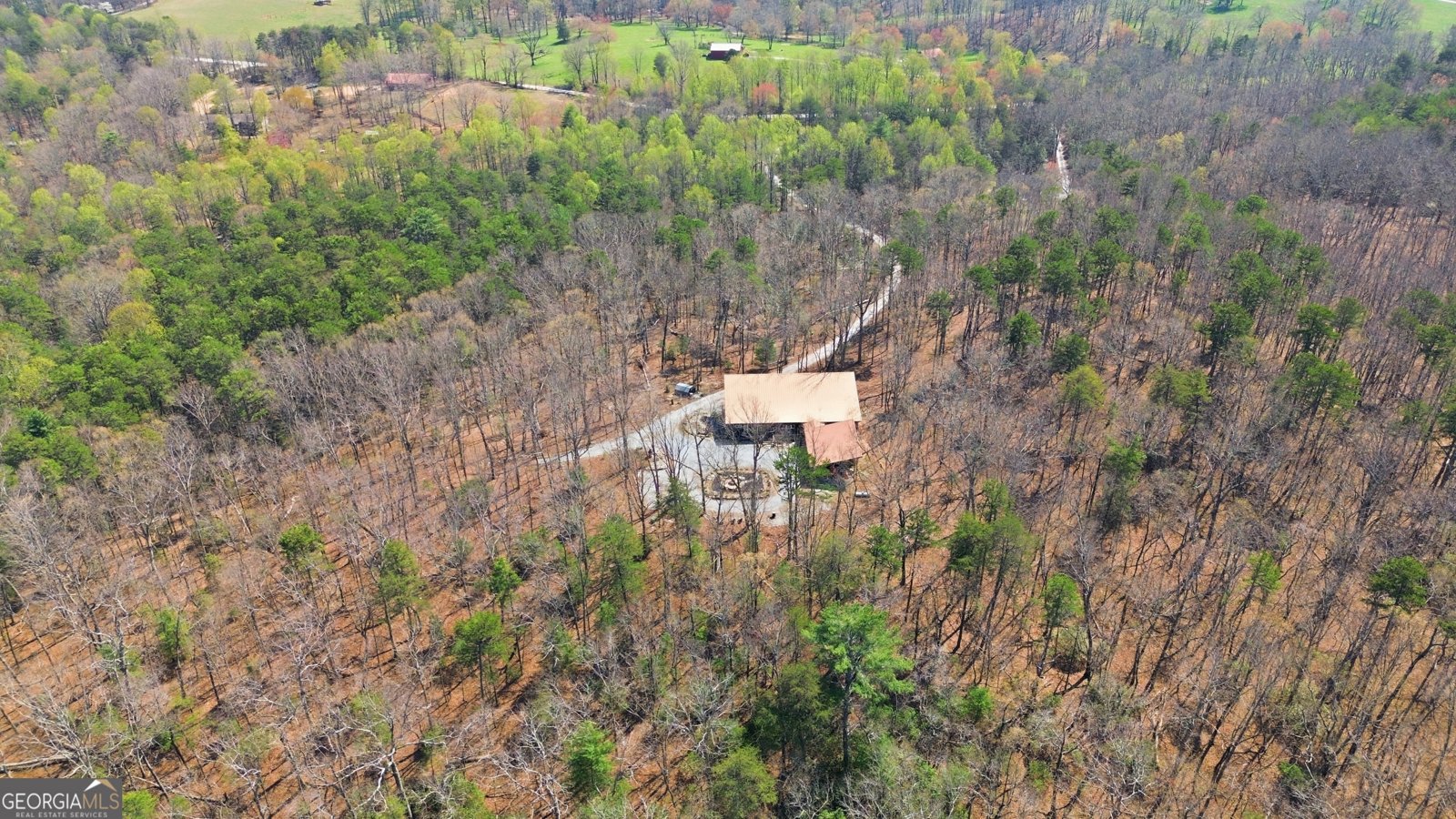 425 Camp Yonah Road Clarkesville - Photo 52