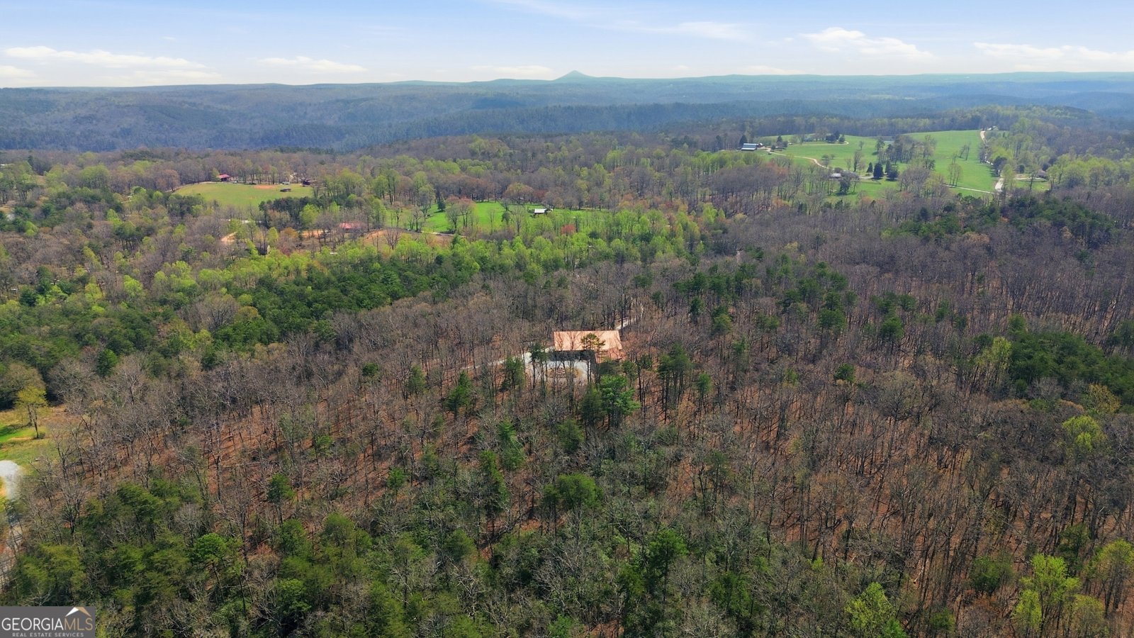 425 Camp Yonah Road Clarkesville - Photo 53