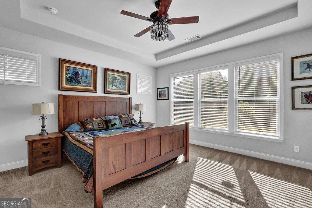 6050 Stargazer Way Cumming - Photo 19