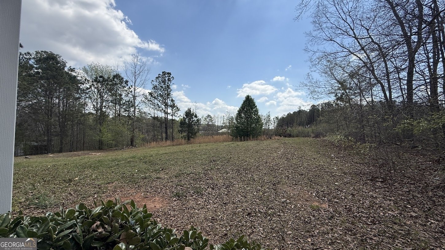 410 Crystal Drive Carrollton - Photo 36