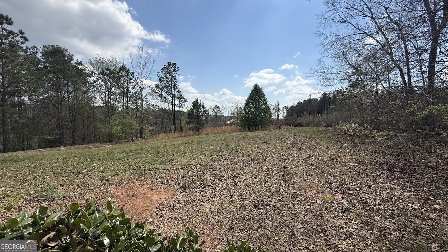 410 Crystal Drive Carrollton - Photo 37