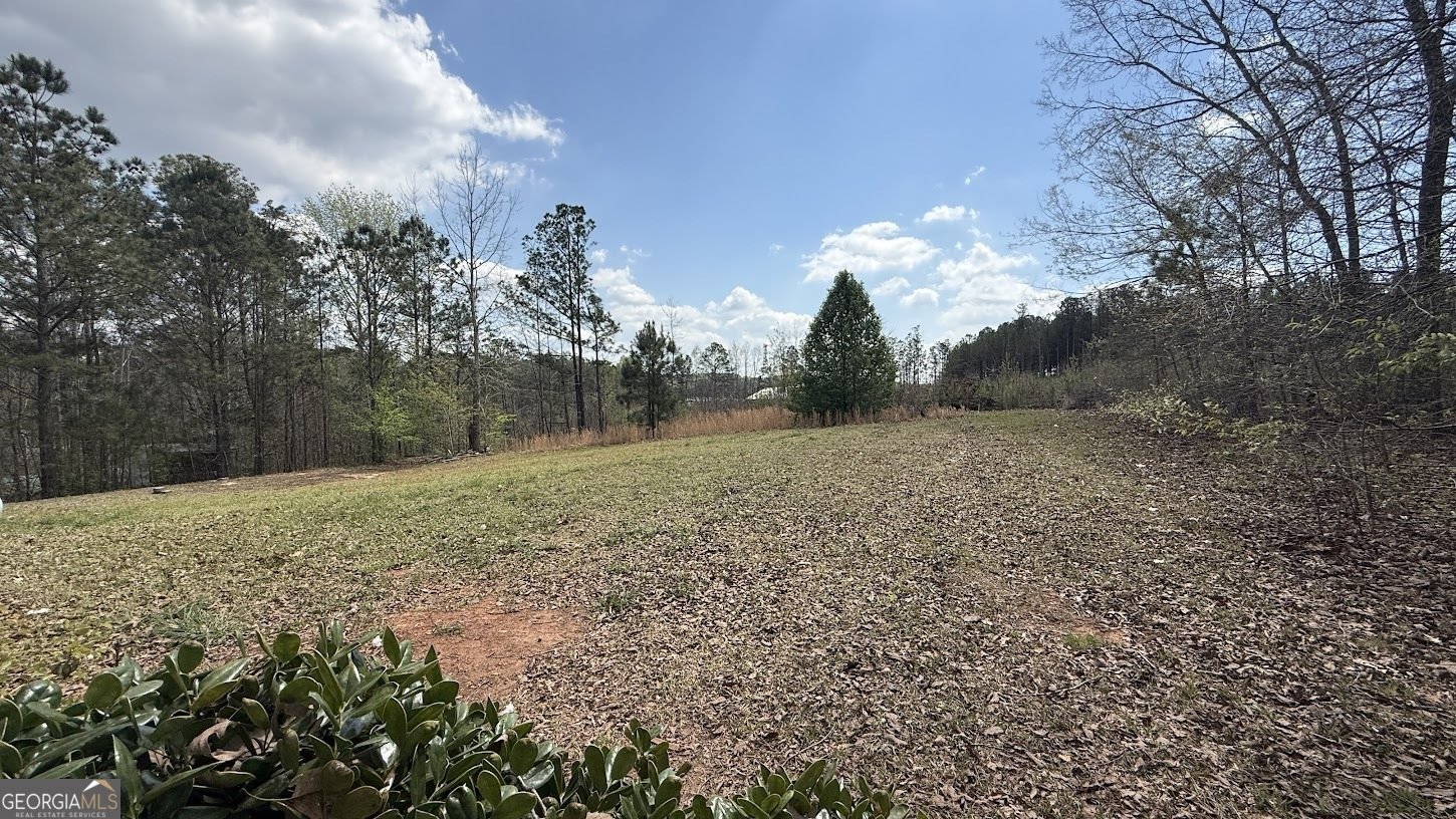 410 Crystal Drive Carrollton - Photo 38