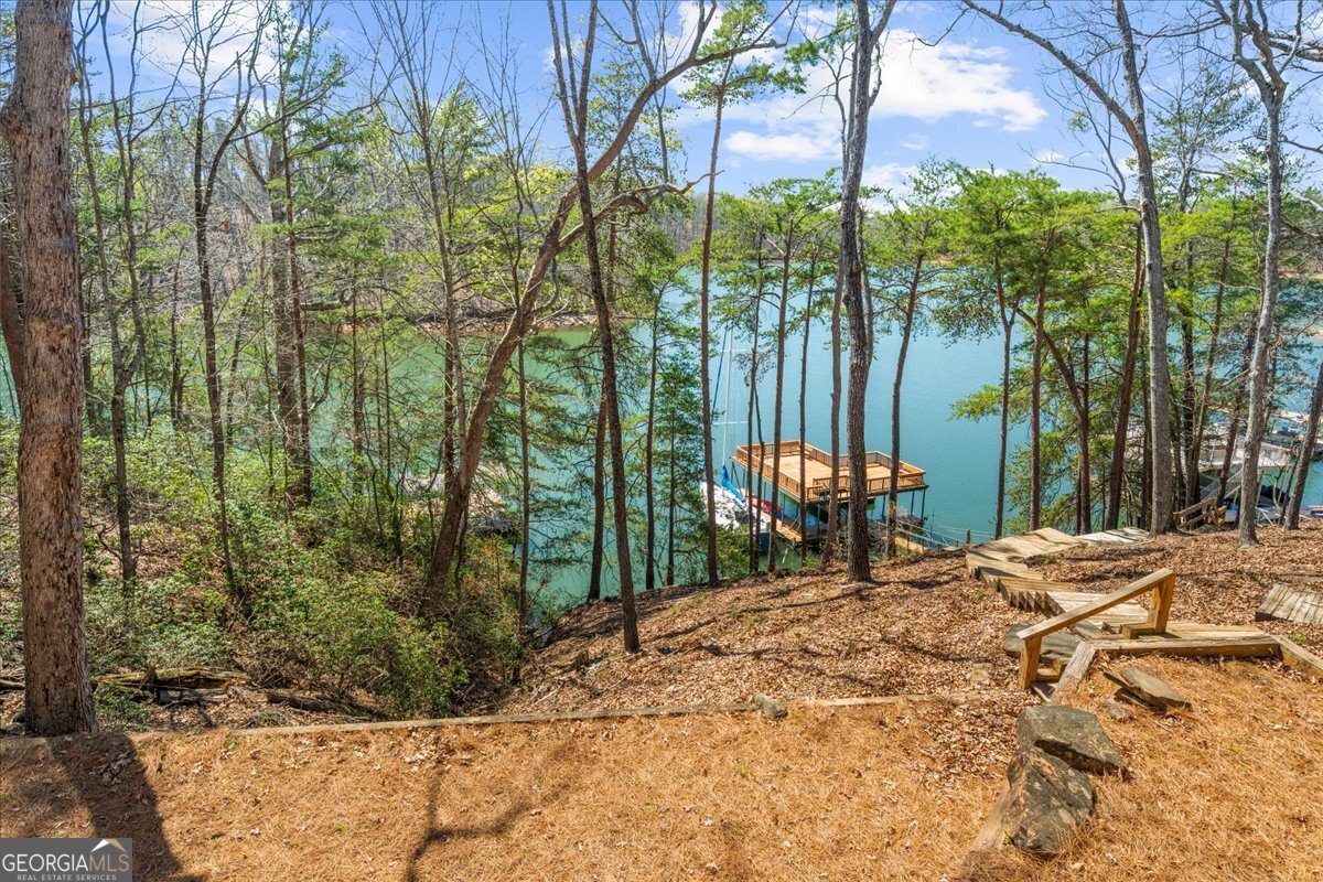 9230 Four Mile Creek Road Gainesville - Photo 58