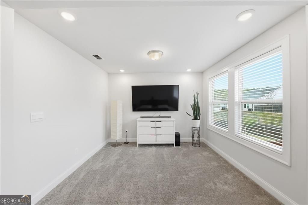 444 Payne Road Woodstock - Photo 43