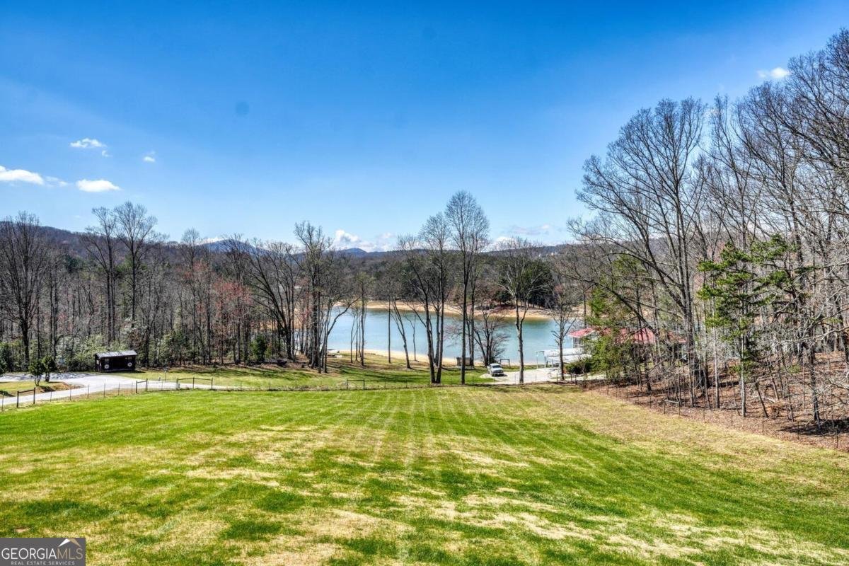 583 Fleenor Road Blairsville - Photo 93