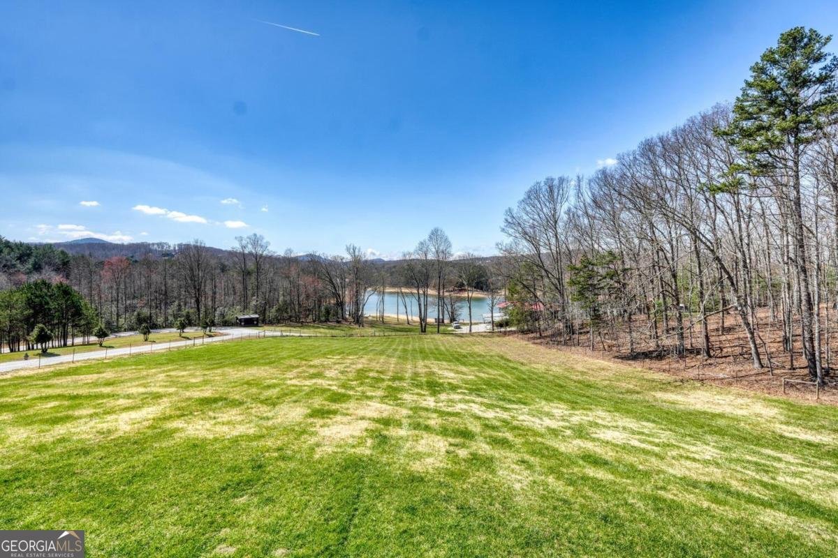 583 Fleenor Road Blairsville - Photo 94