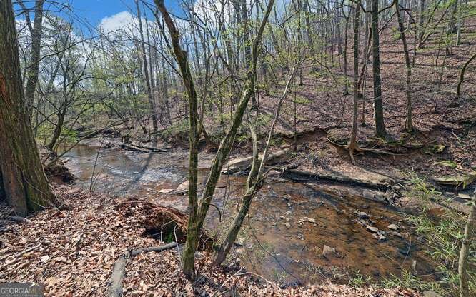 390 Colony Cove Alpharetta - Photo 42