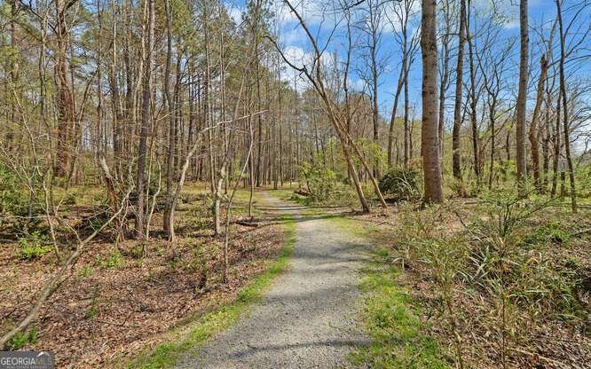 390 Colony Cove Alpharetta - Photo 43