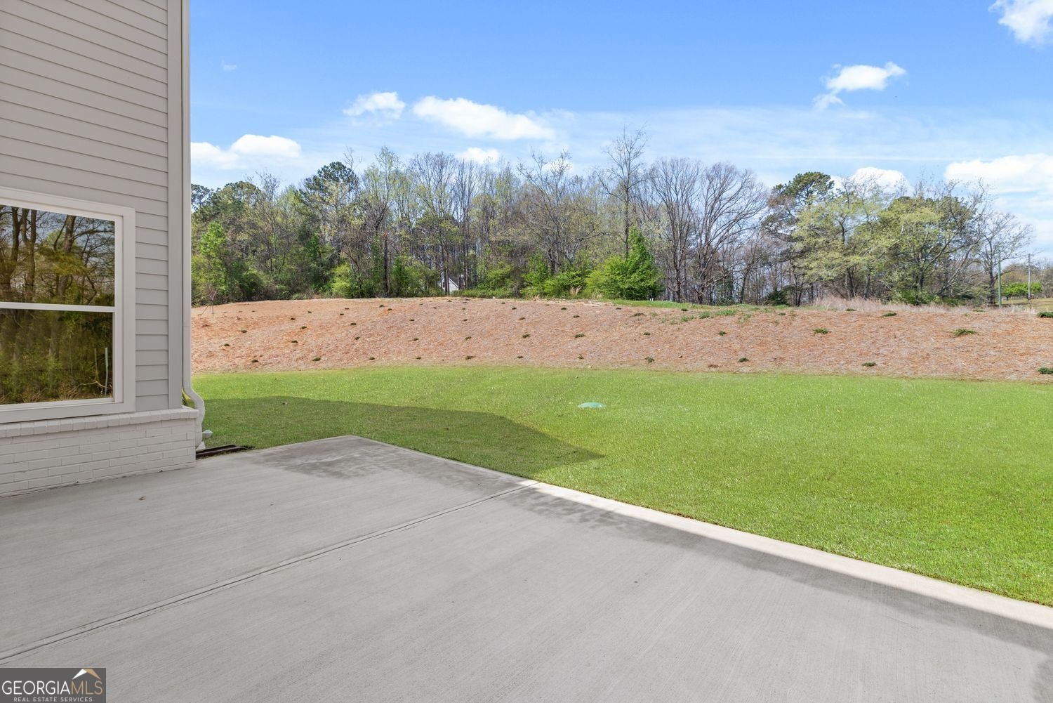 8290 Creekside Overlook Drive Gainesville - Photo 41