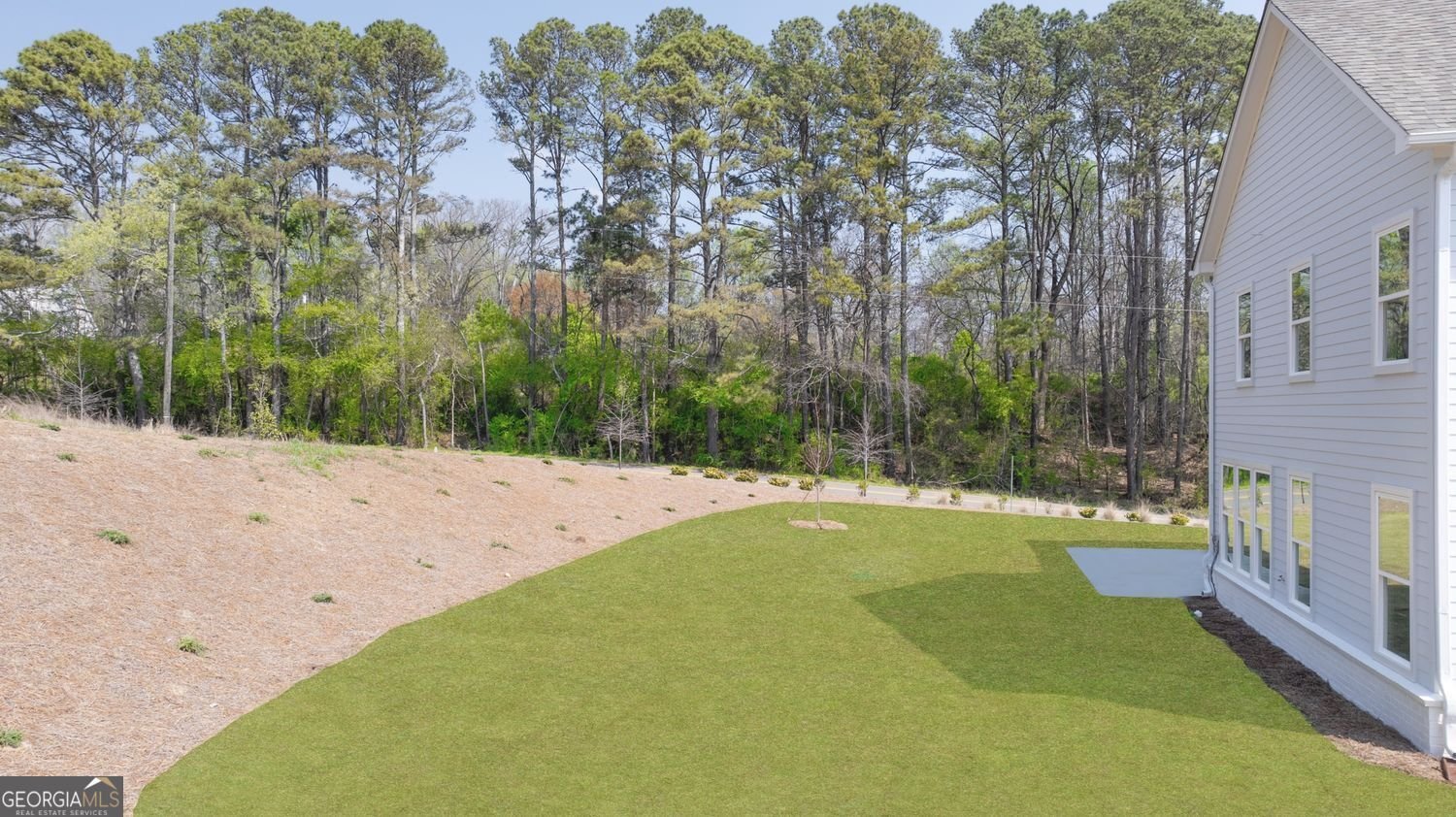 8290 Creekside Overlook Drive Gainesville - Photo 78