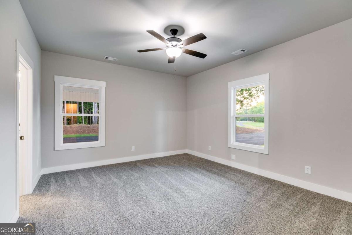 TRACT5 Georgia Highway 100 Buchanan - Photo 19