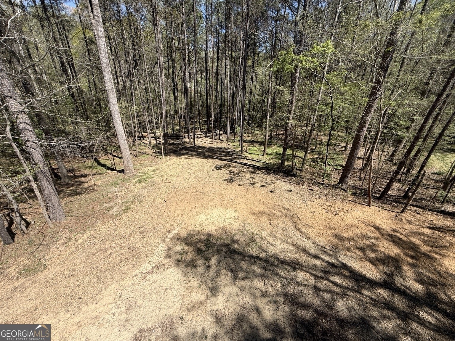 380 Silver Creek Run Lawrenceville - Photo 47