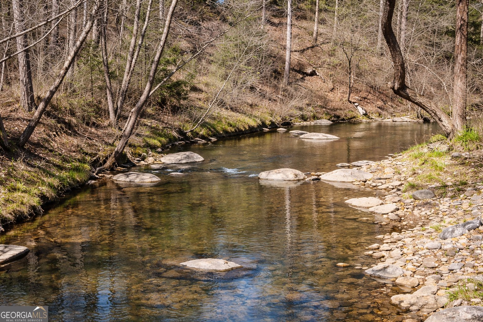 2308 Carver Mill Road Talking Rock - Photo 56