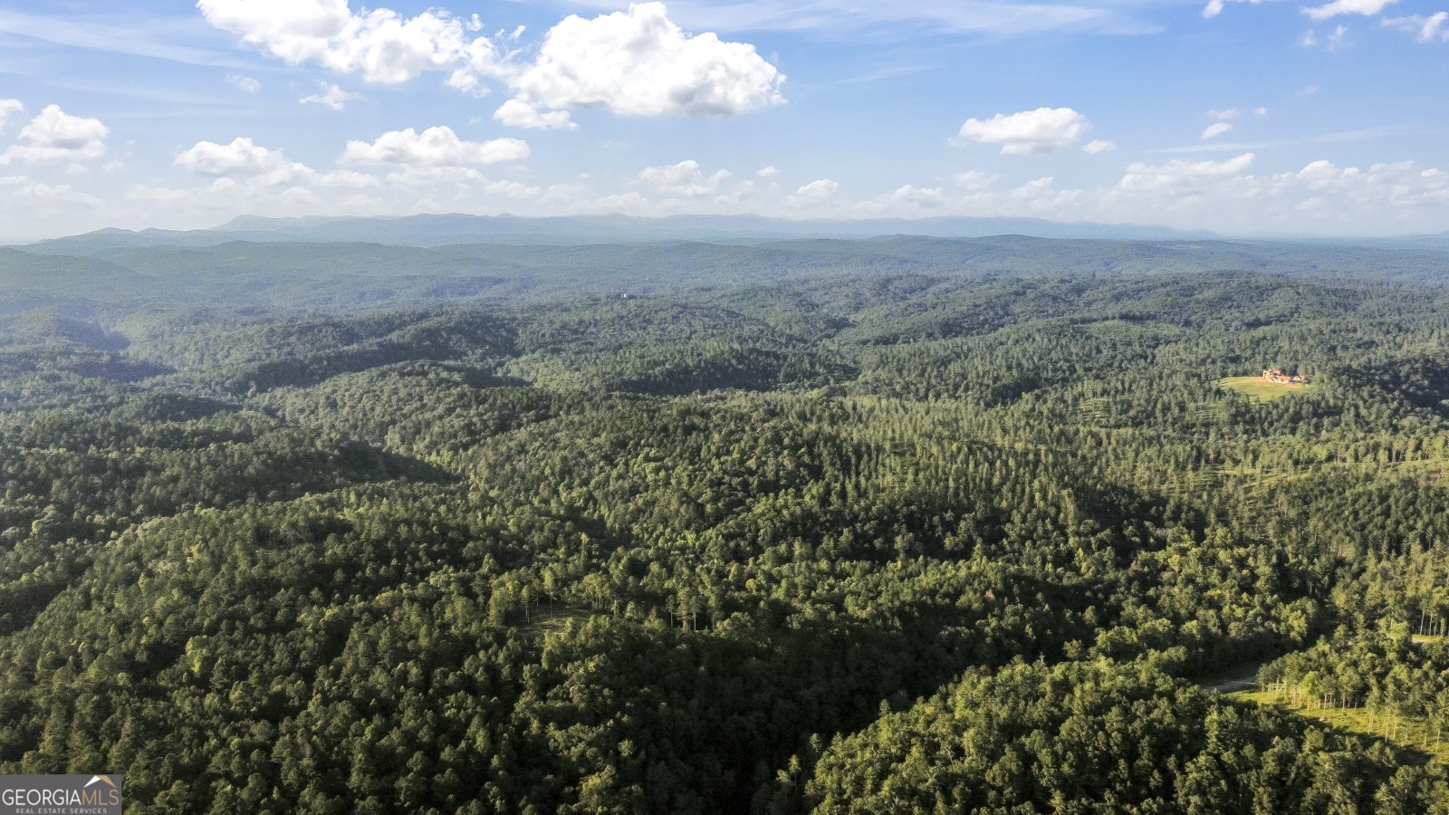 2308 Carver Mill Road Talking Rock - Photo 57