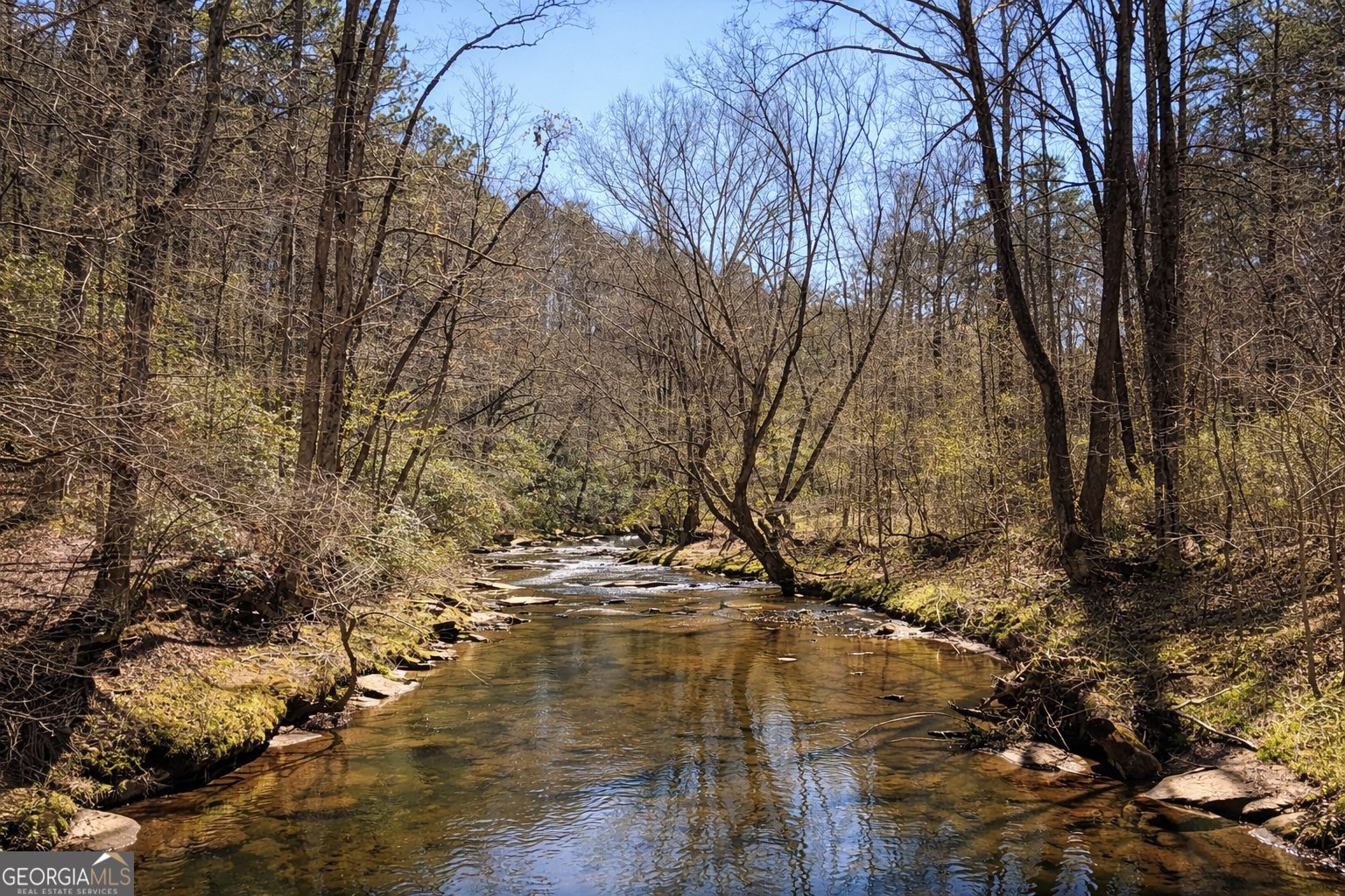 2308 Carver Mill Road Talking Rock - Photo 58