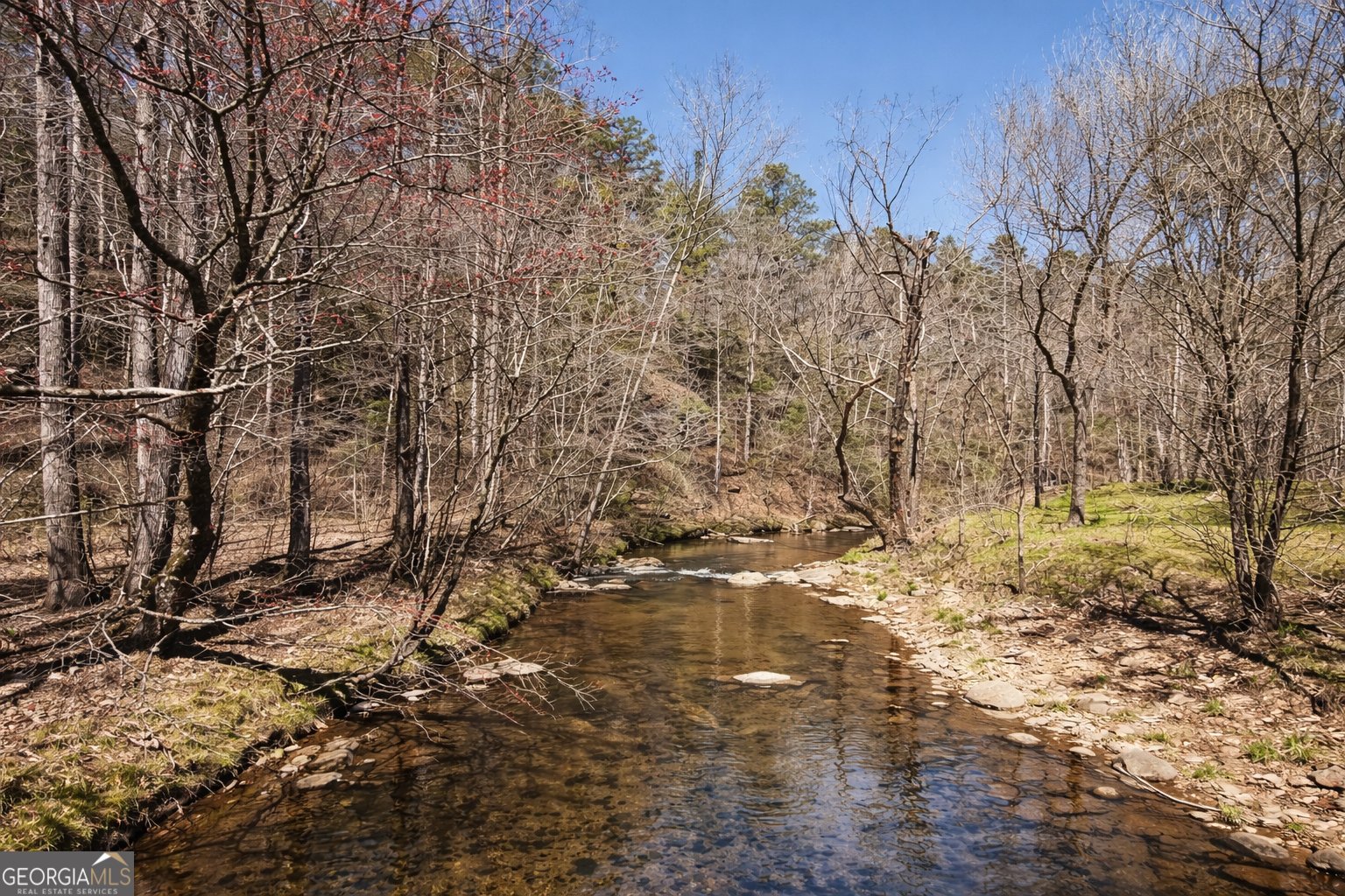 2308 Carver Mill Road Talking Rock - Photo 60