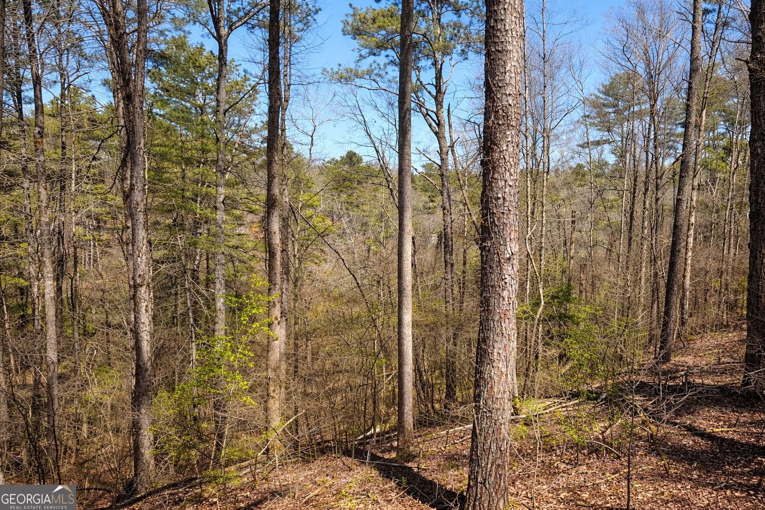 2308 Carver Mill Road Talking Rock - Photo 61