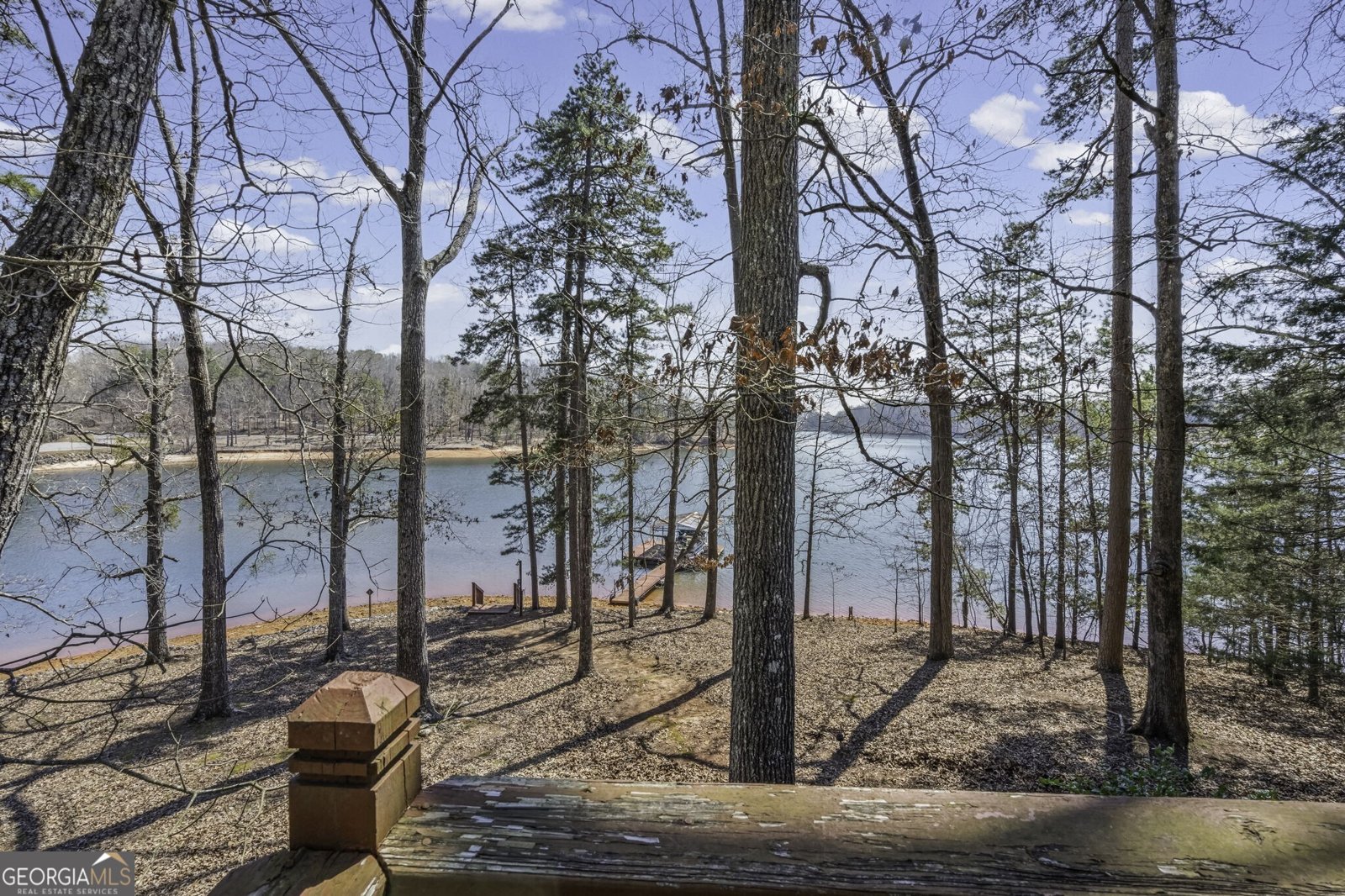 229 Park View Lane Dawsonville - Photo 26