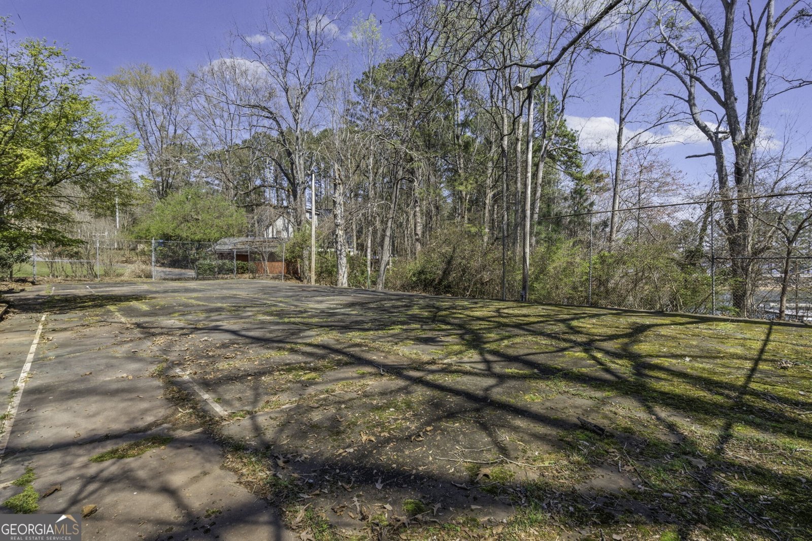 229 Park View Lane Dawsonville - Photo 38