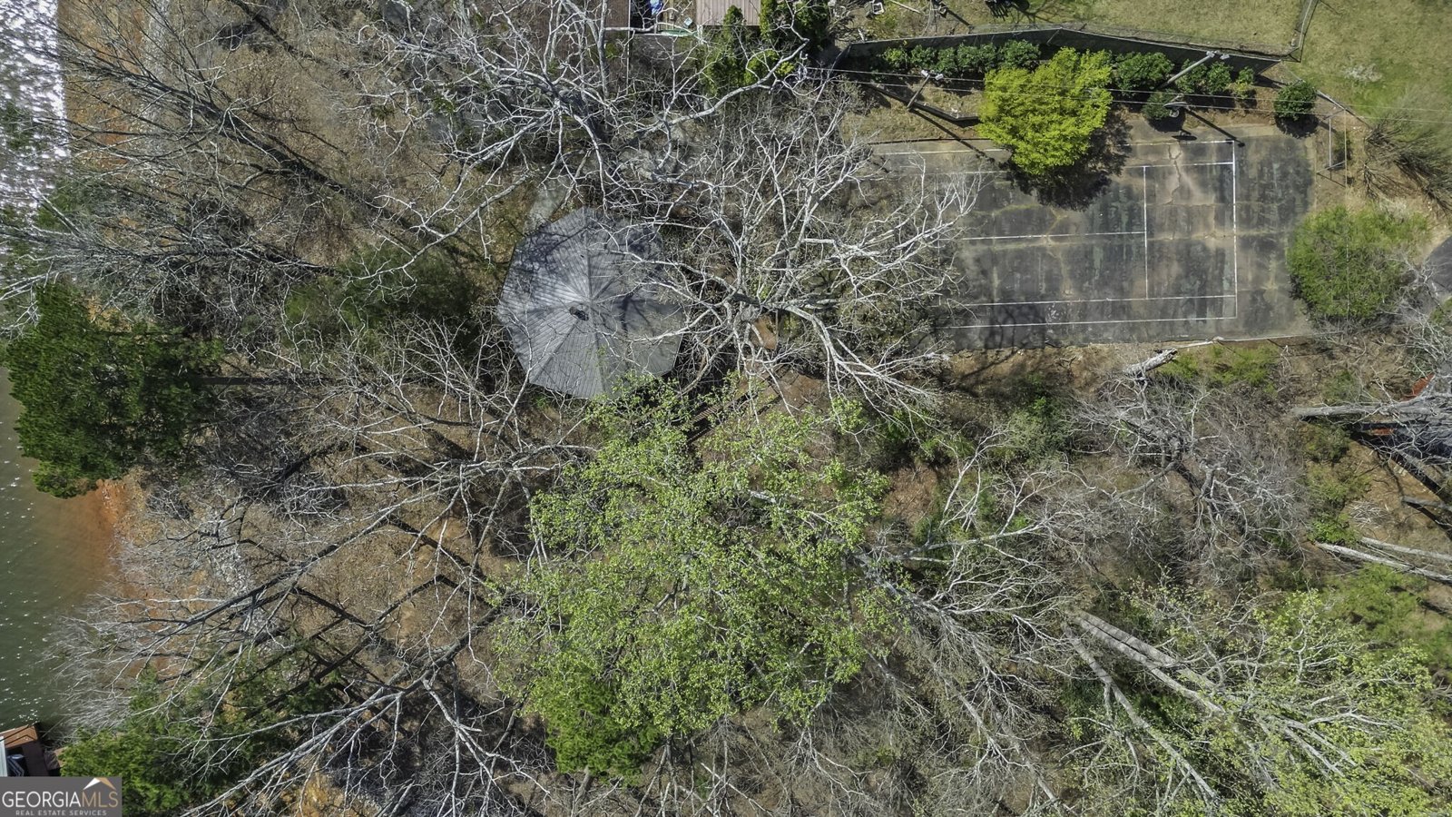 229 Park View Lane Dawsonville - Photo 47