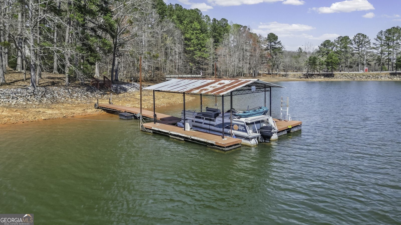 229 Park View Lane Dawsonville - Photo 48