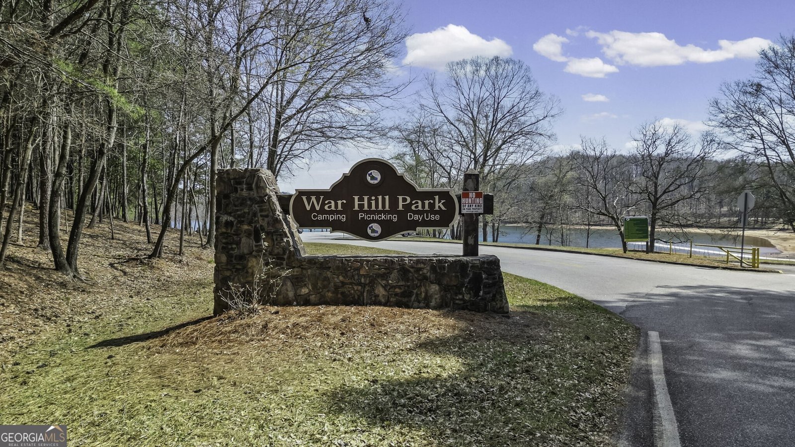 229 Park View Lane Dawsonville - Photo 53