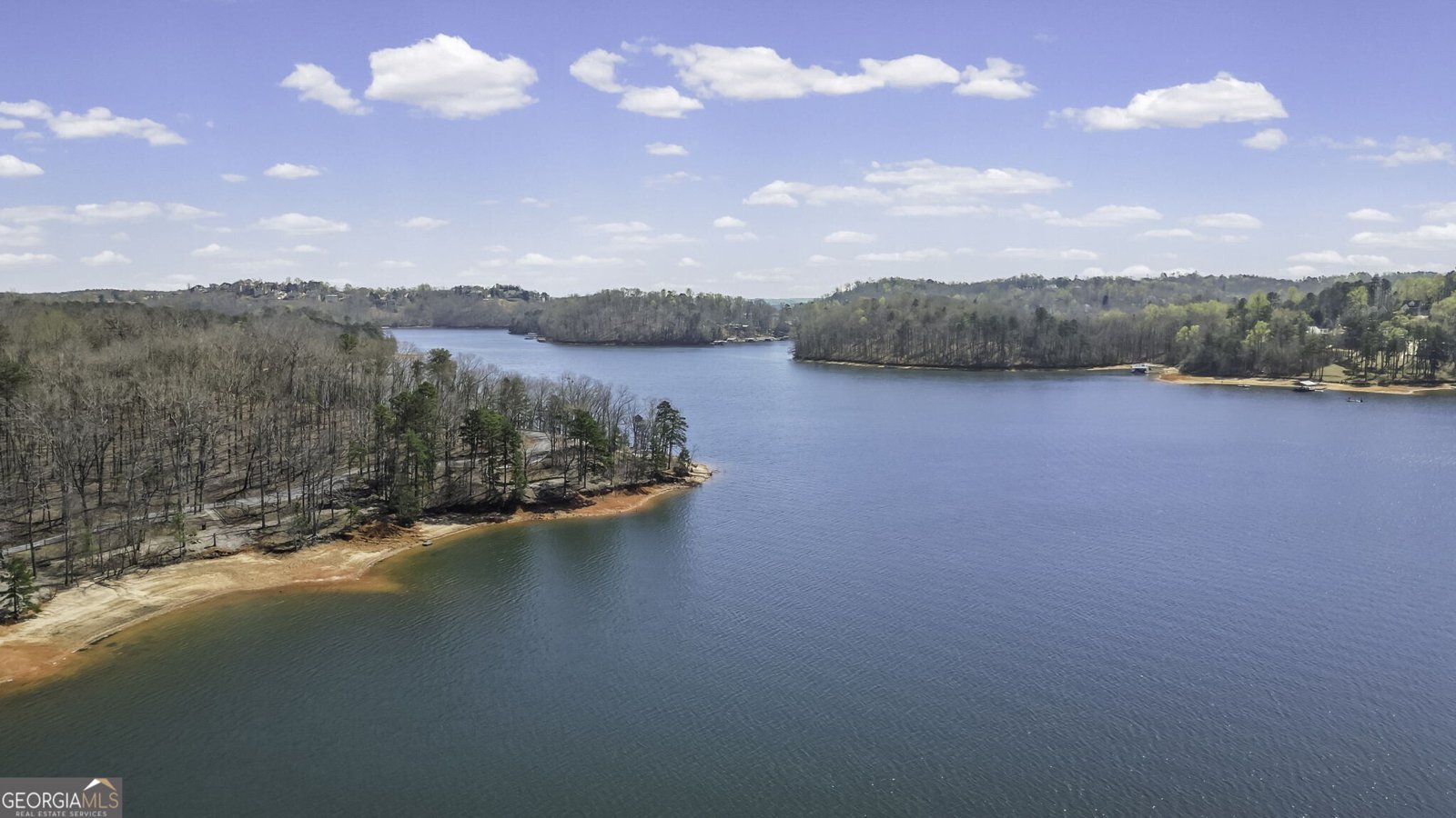 229 Park View Lane Dawsonville - Photo 55