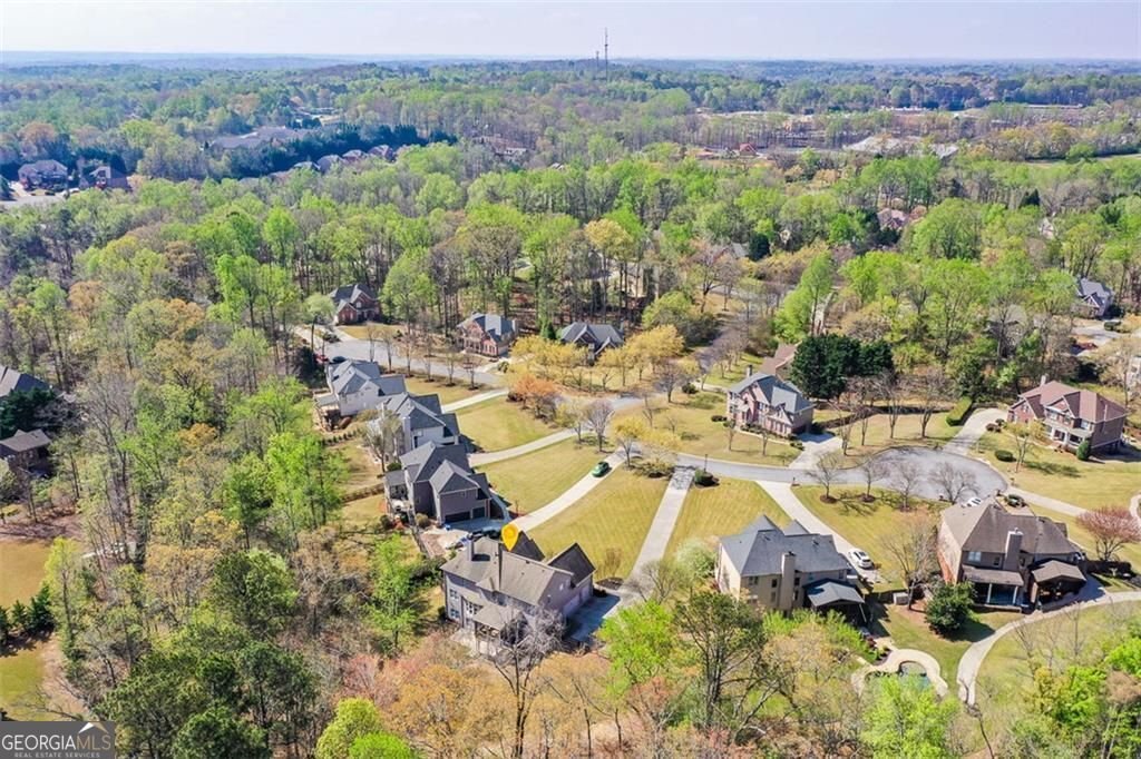 1055 Coleridge Way Suwanee - Photo 99