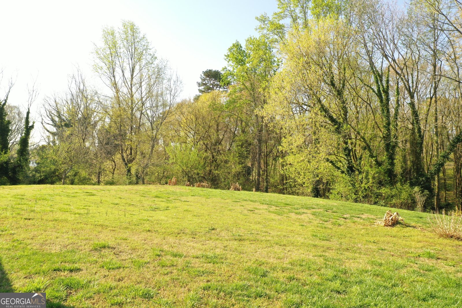 152 Eastside Drive Demorest - Photo 13